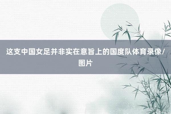 这支中国女足并非实在意旨上的国度队体育录像/图片