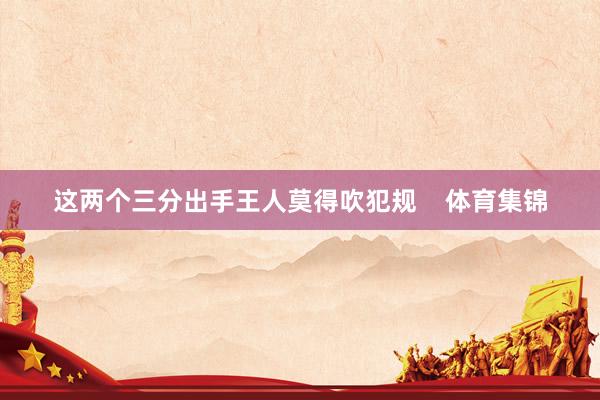 这两个三分出手王人莫得吹犯规    体育集锦