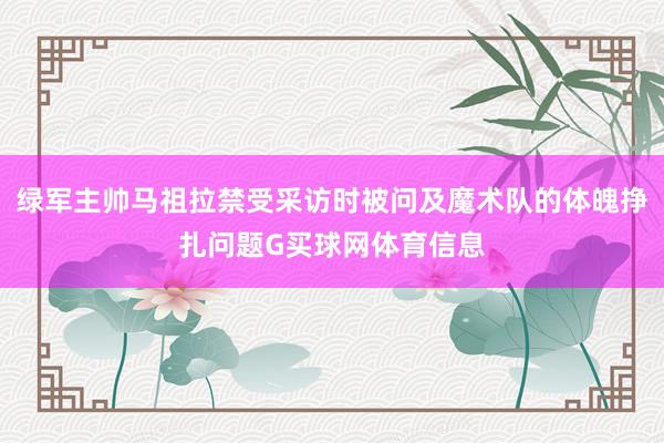 绿军主帅马祖拉禁受采访时被问及魔术队的体魄挣扎问题G买球网体育信息