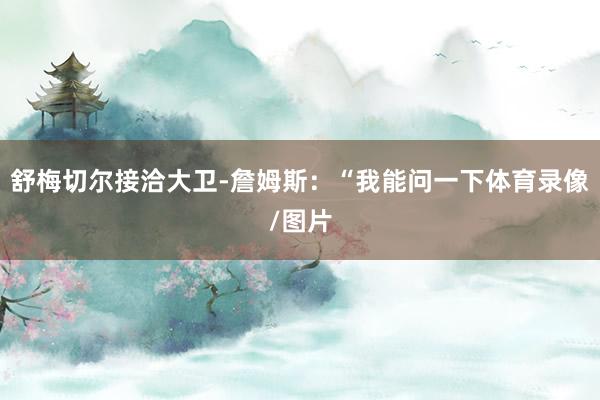舒梅切尔接洽大卫-詹姆斯：“我能问一下体育录像/图片