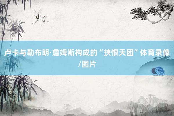 卢卡与勒布朗·詹姆斯构成的“挟恨天团”体育录像/图片