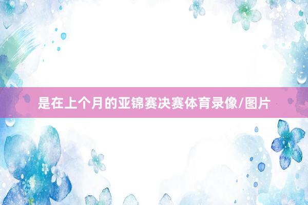 是在上个月的亚锦赛决赛体育录像/图片