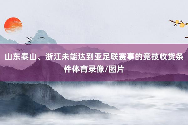 山东泰山、浙江未能达到亚足联赛事的竞技收货条件体育录像/图片