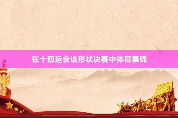 在十四运会该形状决赛中体育集锦