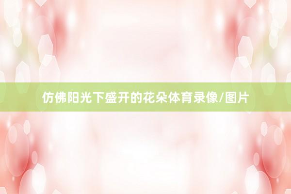 仿佛阳光下盛开的花朵体育录像/图片