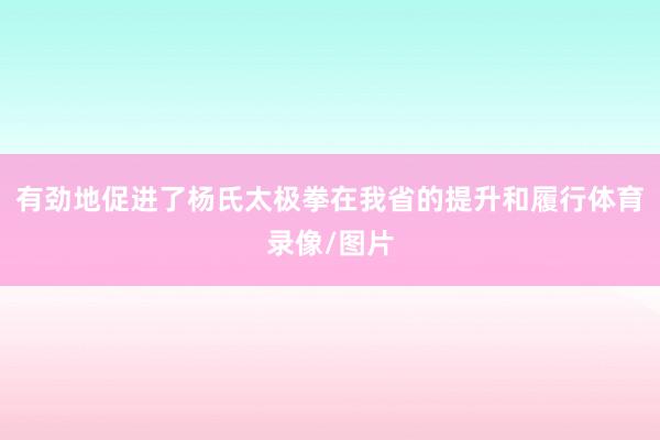 有劲地促进了杨氏太极拳在我省的提升和履行体育录像/图片