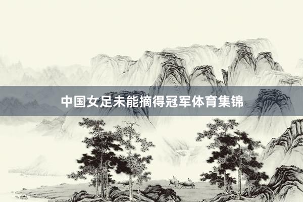 中国女足未能摘得冠军体育集锦