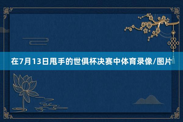 在7月13日甩手的世俱杯决赛中体育录像/图片