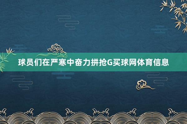 球员们在严寒中奋力拼抢G买球网体育信息