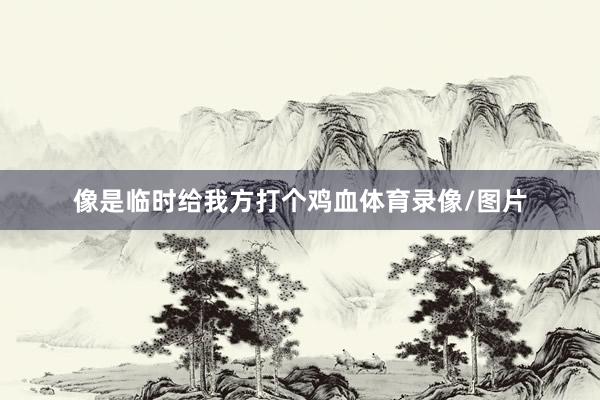像是临时给我方打个鸡血体育录像/图片