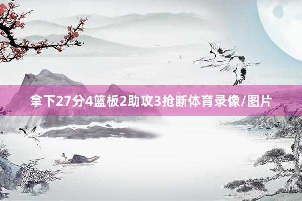 拿下27分4篮板2助攻3抢断体育录像/图片
