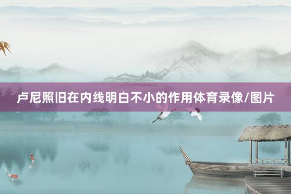 卢尼照旧在内线明白不小的作用体育录像/图片