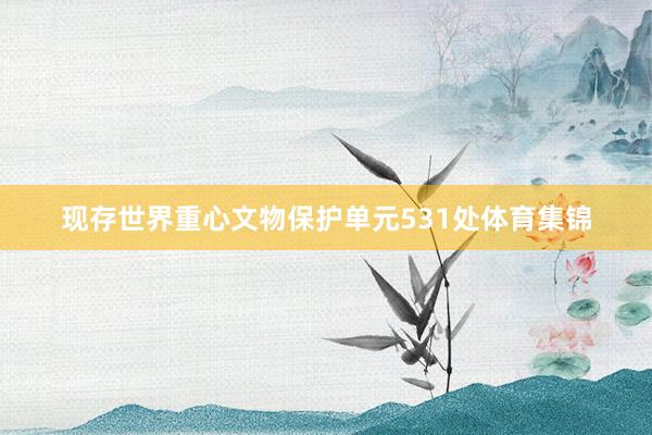 现存世界重心文物保护单元531处体育集锦