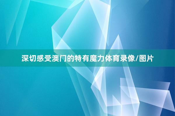 深切感受澳门的特有魔力体育录像/图片