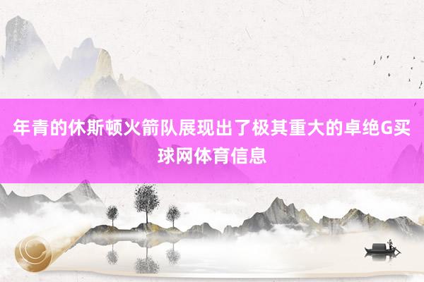年青的休斯顿火箭队展现出了极其重大的卓绝G买球网体育信息