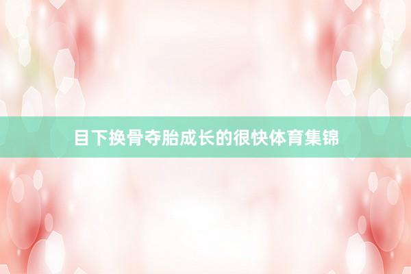 目下换骨夺胎成长的很快体育集锦