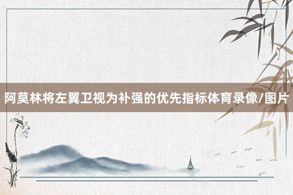 阿莫林将左翼卫视为补强的优先指标体育录像/图片