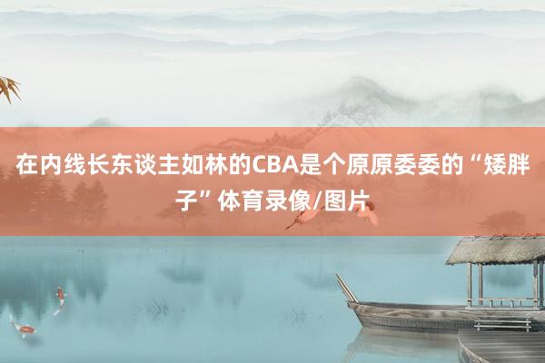 在内线长东谈主如林的CBA是个原原委委的“矮胖子”体育录像/图片
