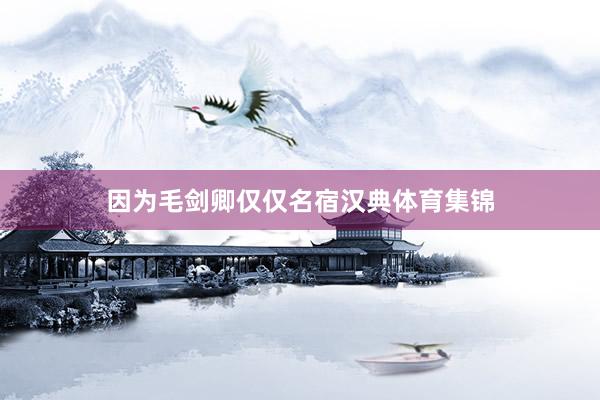因为毛剑卿仅仅名宿汉典体育集锦