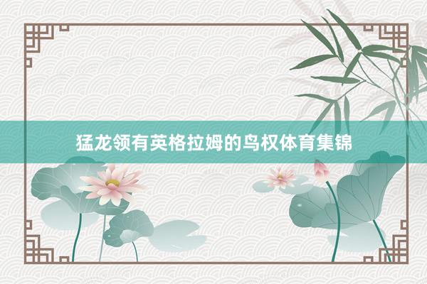 猛龙领有英格拉姆的鸟权体育集锦