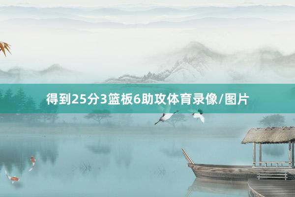 得到25分3篮板6助攻体育录像/图片