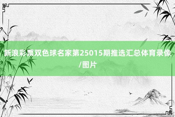 新浪彩票双色球名家第25015期推选汇总体育录像/图片