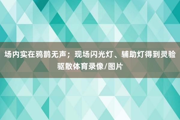 场内实在鸦鹊无声;现场闪光灯、辅助灯得到灵验驱散体育录像/图片
