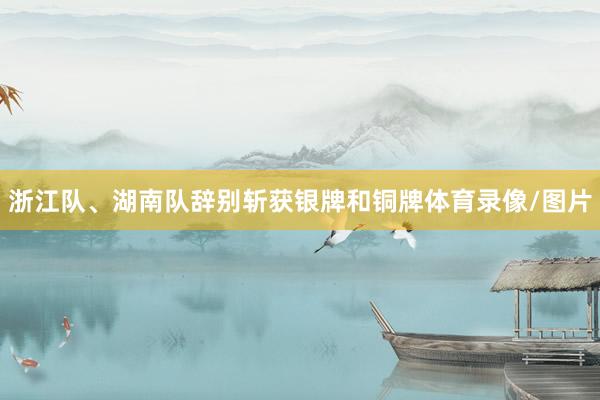 浙江队、湖南队辞别斩获银牌和铜牌体育录像/图片