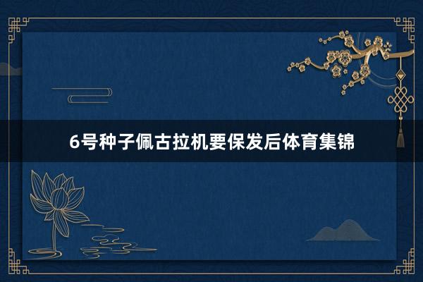 6号种子佩古拉机要保发后体育集锦