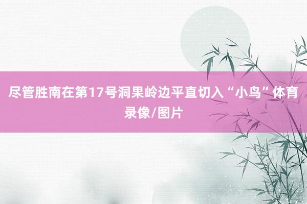 尽管胜南在第17号洞果岭边平直切入“小鸟”体育录像/图片