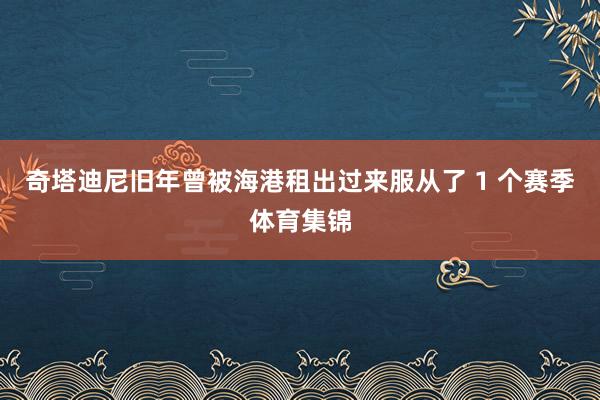 奇塔迪尼旧年曾被海港租出过来服从了 1 个赛季体育集锦