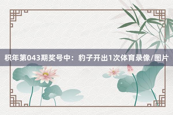积年第043期奖号中：豹子开出1次体育录像/图片