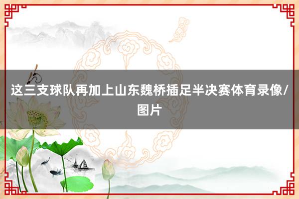 这三支球队再加上山东魏桥插足半决赛体育录像/图片
