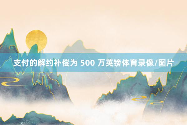 支付的解约补偿为 500 万英镑体育录像/图片
